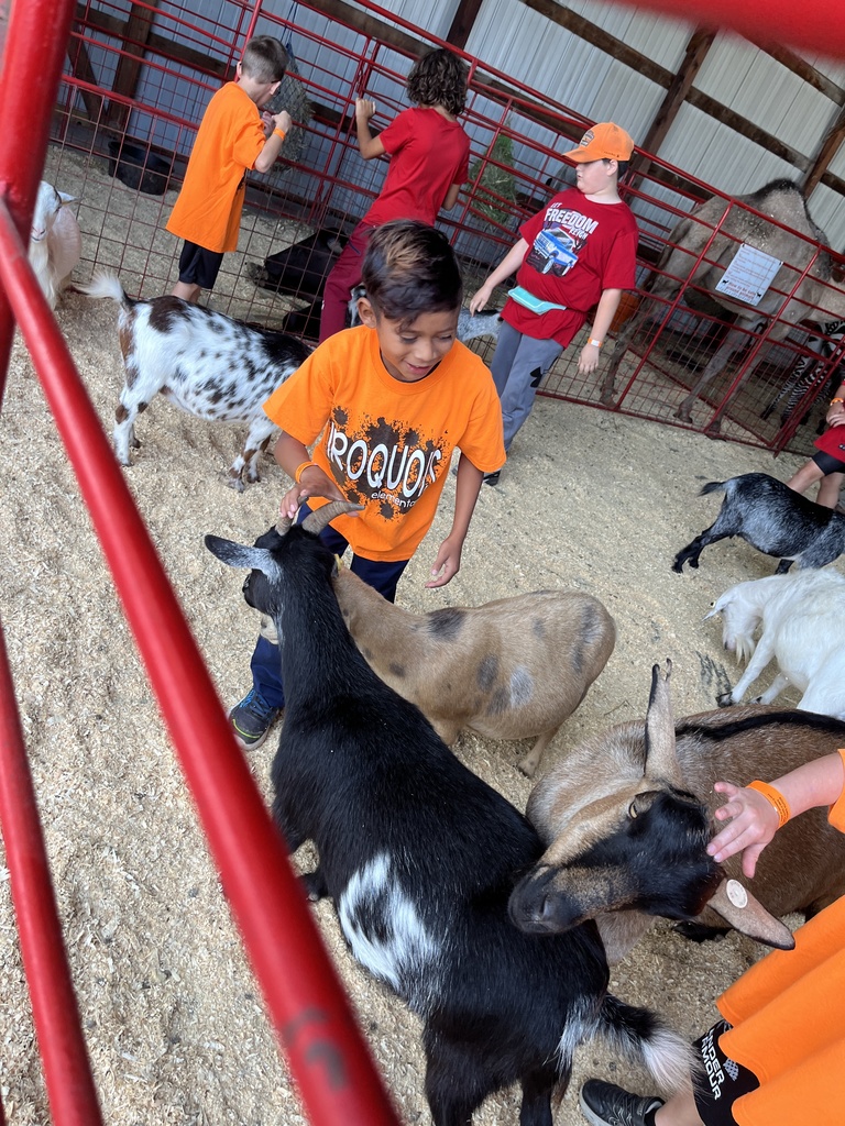 Petting zoo