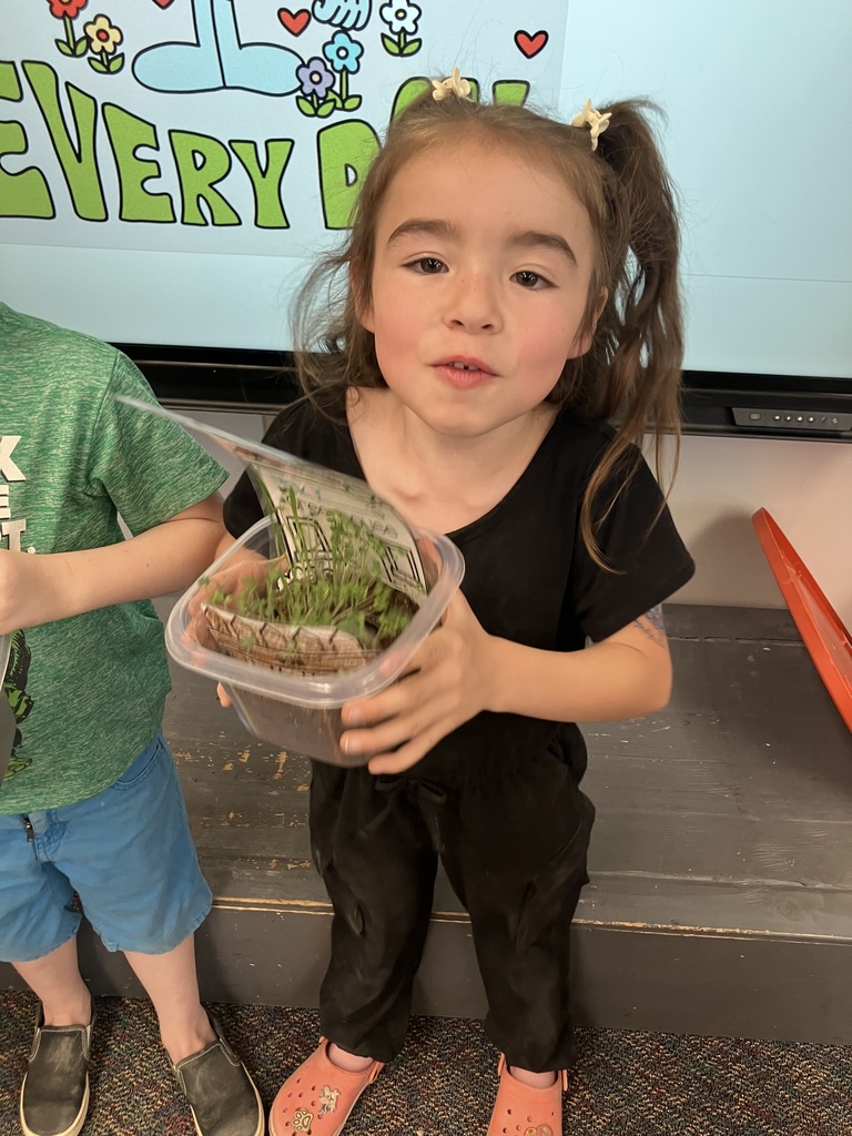 PK grass project