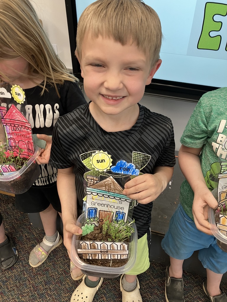 PK grass project
