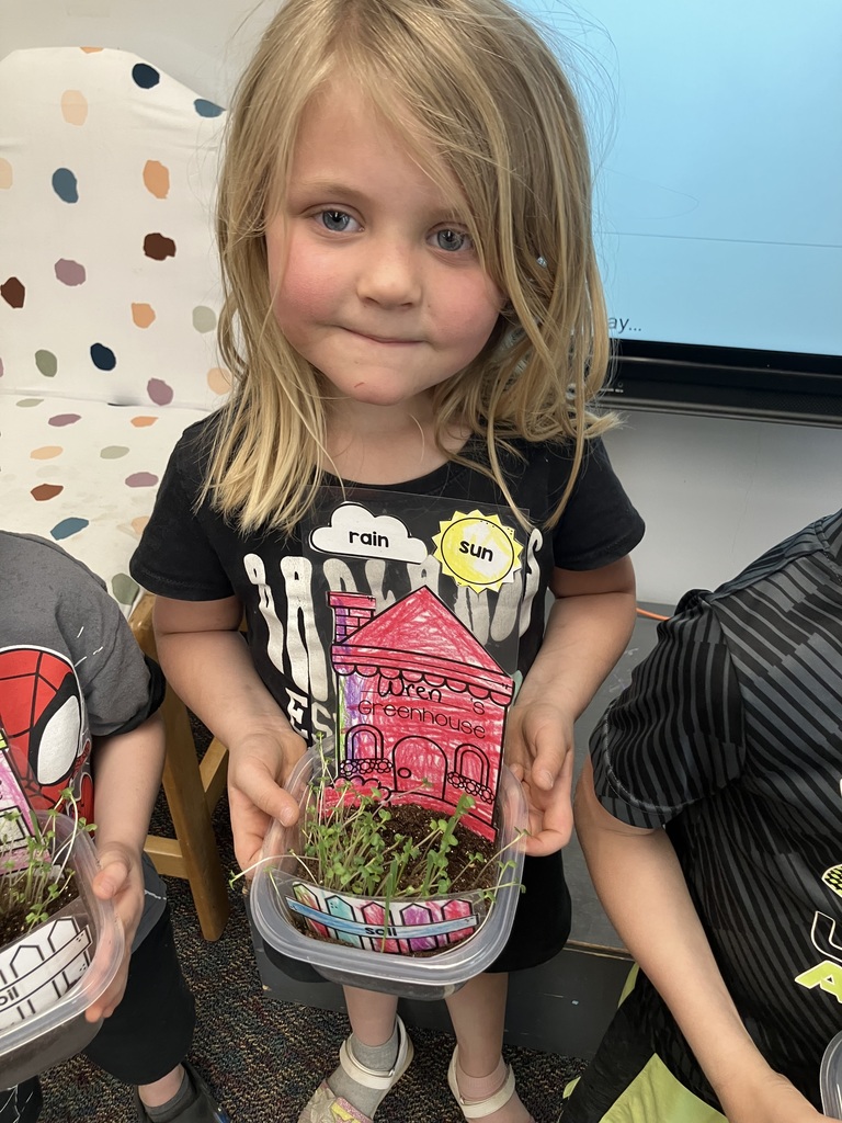 PK grass project