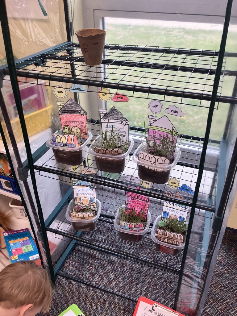 PK grass project