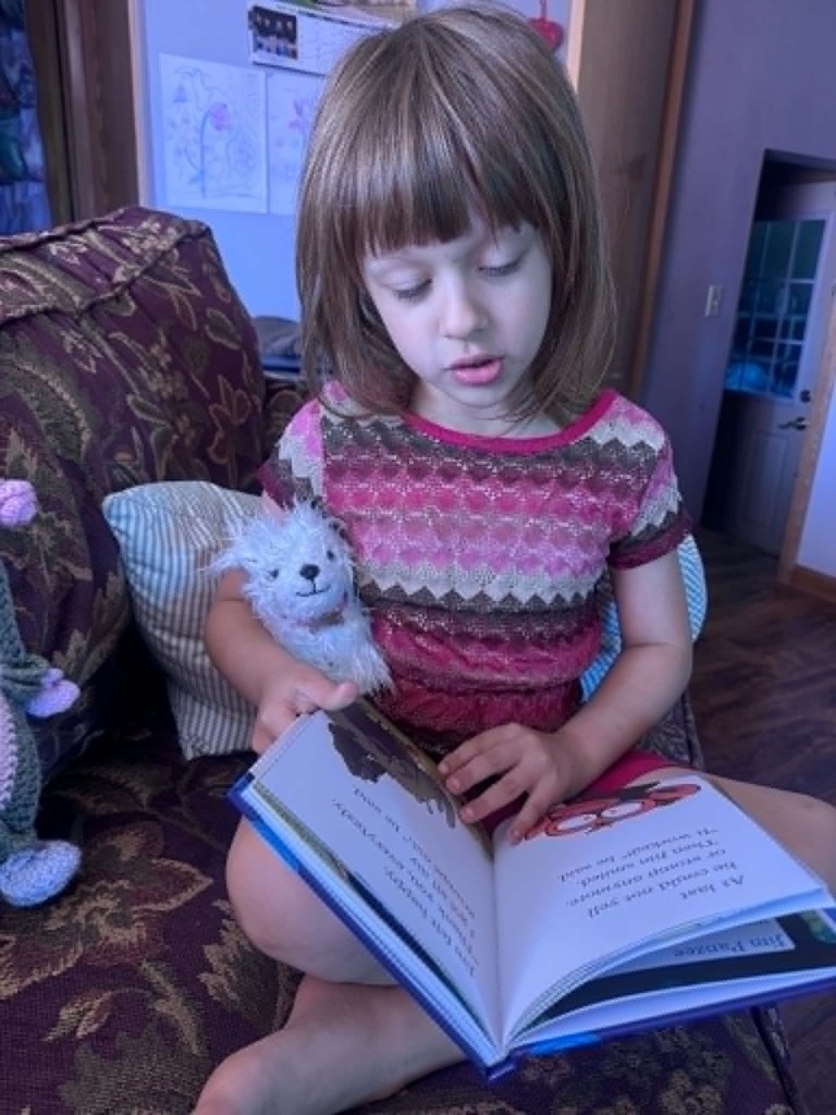Summer Reading Challenges