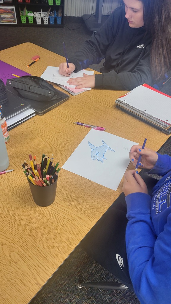 drawing sharks