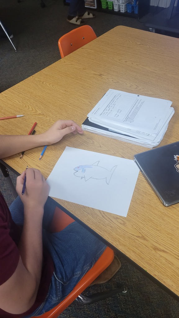 drawing sharks 