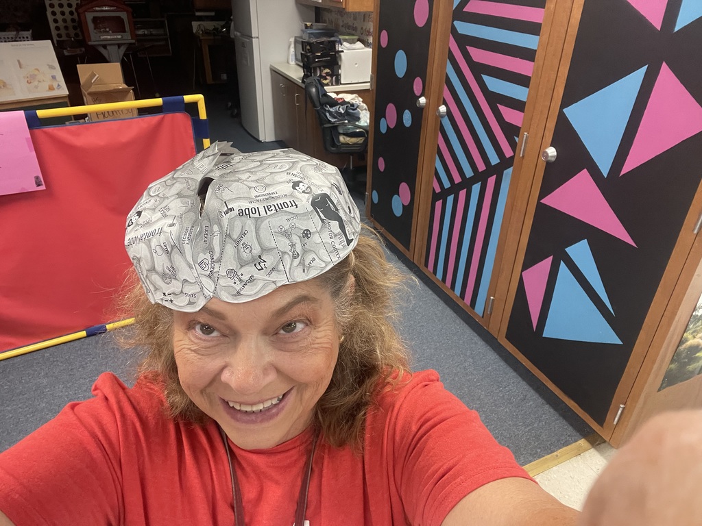Better Brains for babies lesson in ECE