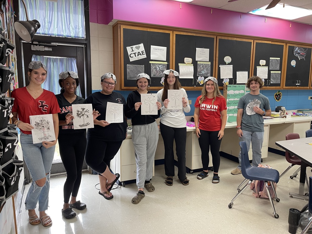 Better Brains for babies lesson in ECE