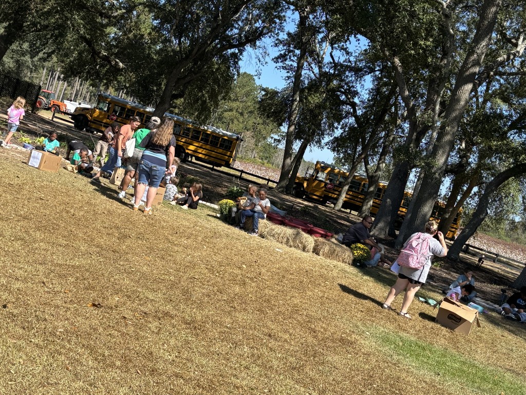 Harper Hill Field Trip