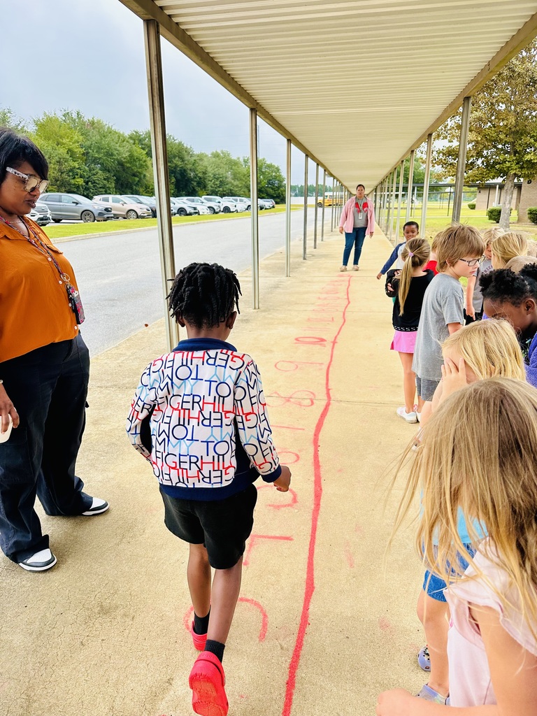 Kindergarten Number Line