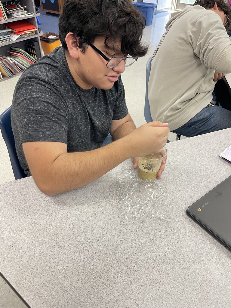 Food Science learns about Emulsion