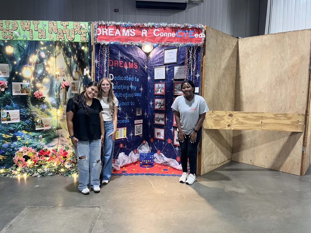 fccla at the perry fair