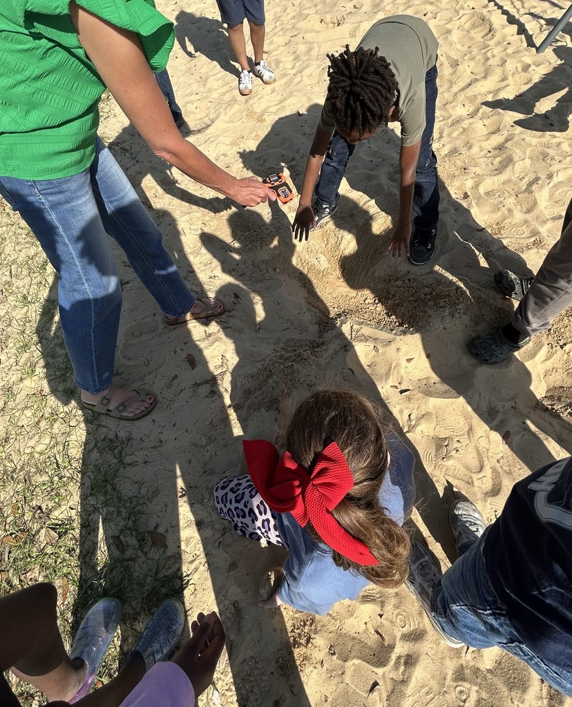 Mrs. Barrs' Science activity