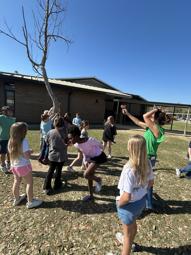 Mrs. Barrs' Science activity