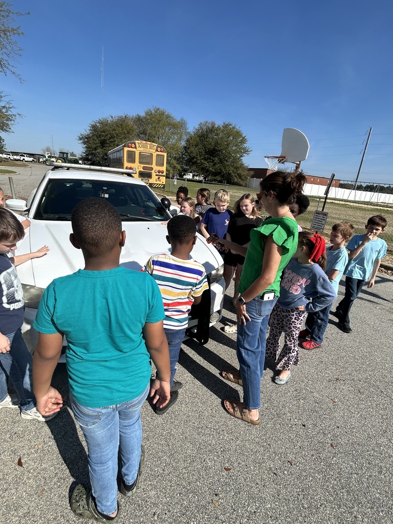 Mrs. Barrs' Science activity