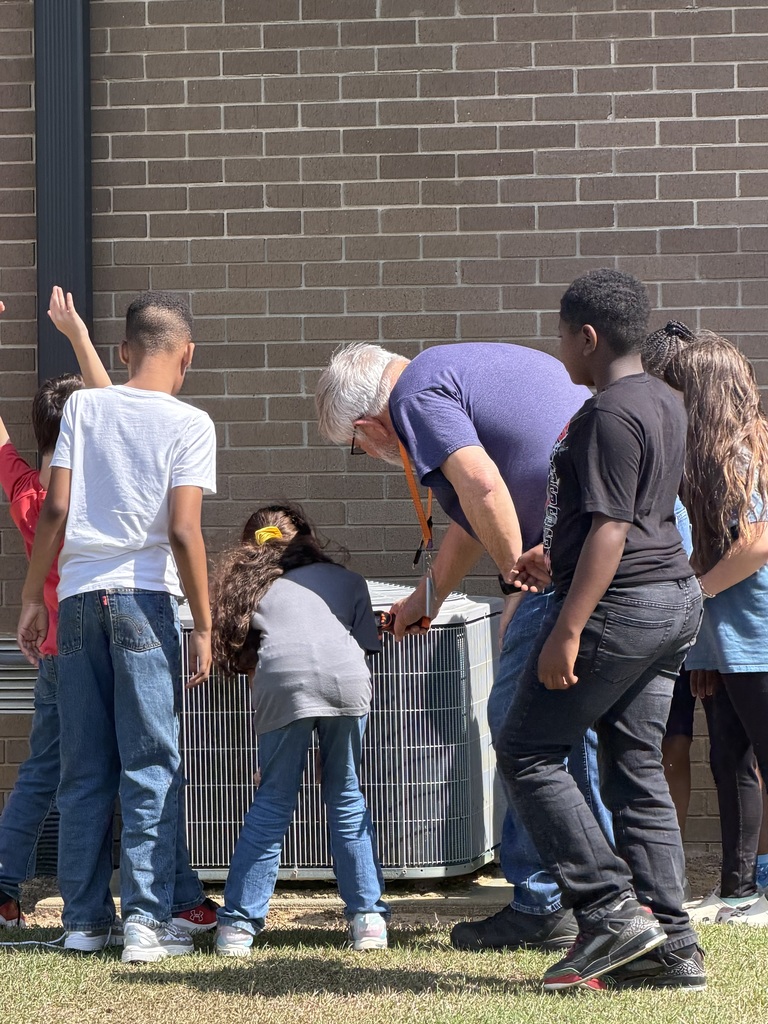 Mrs. Barrs' Science activity