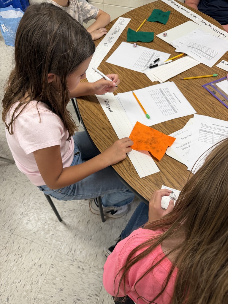 Mixon and Harris ELA Activity