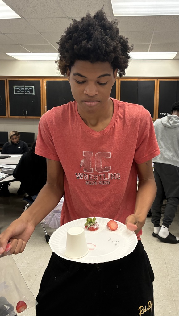 food experiment
