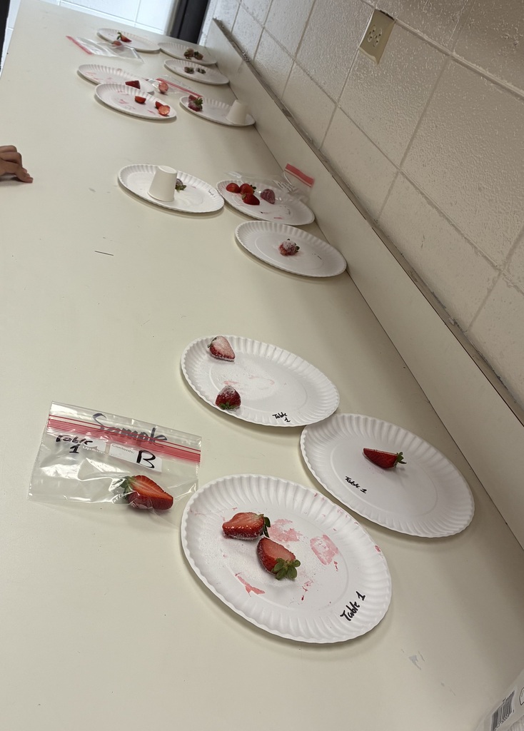 food experiment