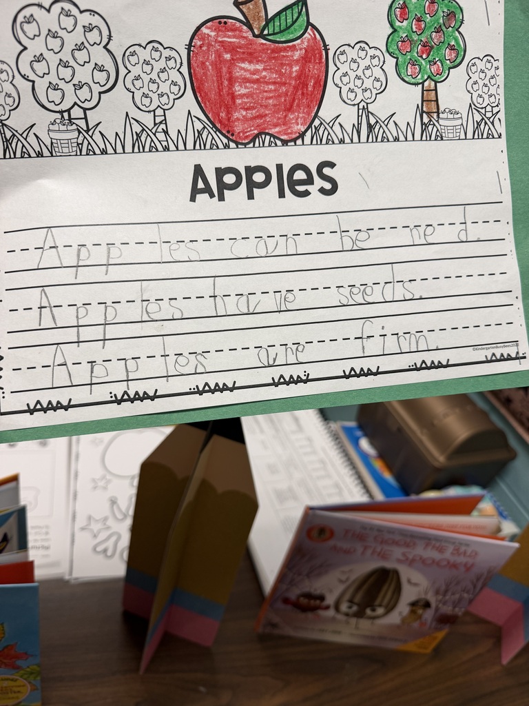 Ms Flowers Kindergarten Class Activity