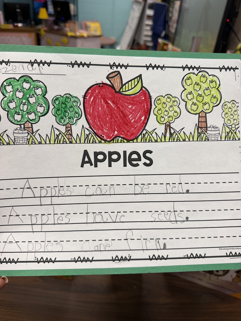 Ms Flowers Kindergarten Class Activity
