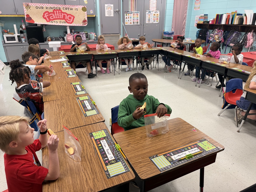 Ms Flowers Kindergarten Class Activity