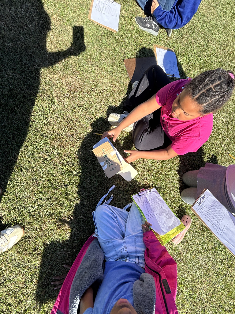Miss Paulk's Science Activity
