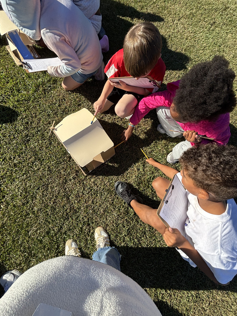 Miss Paulk's Science Activity