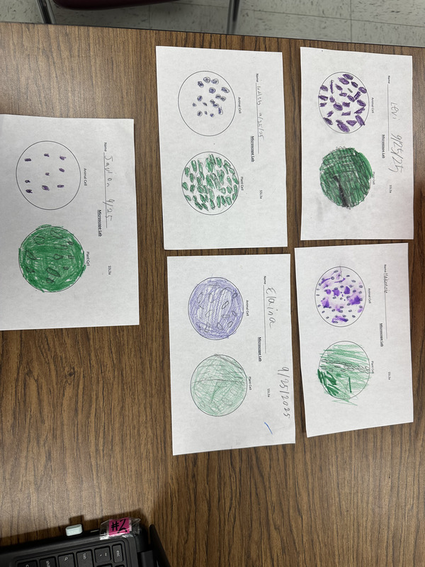 5th Grade Science
