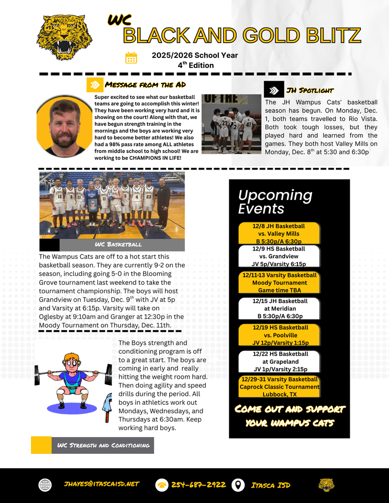 Black and Gold Blitz