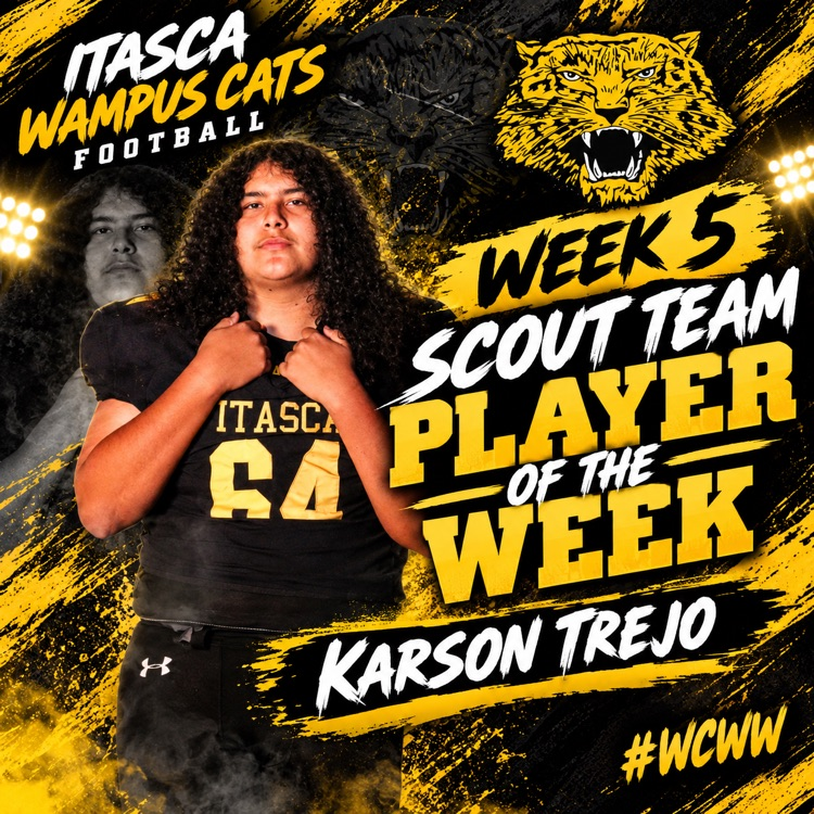 Scout Team POW