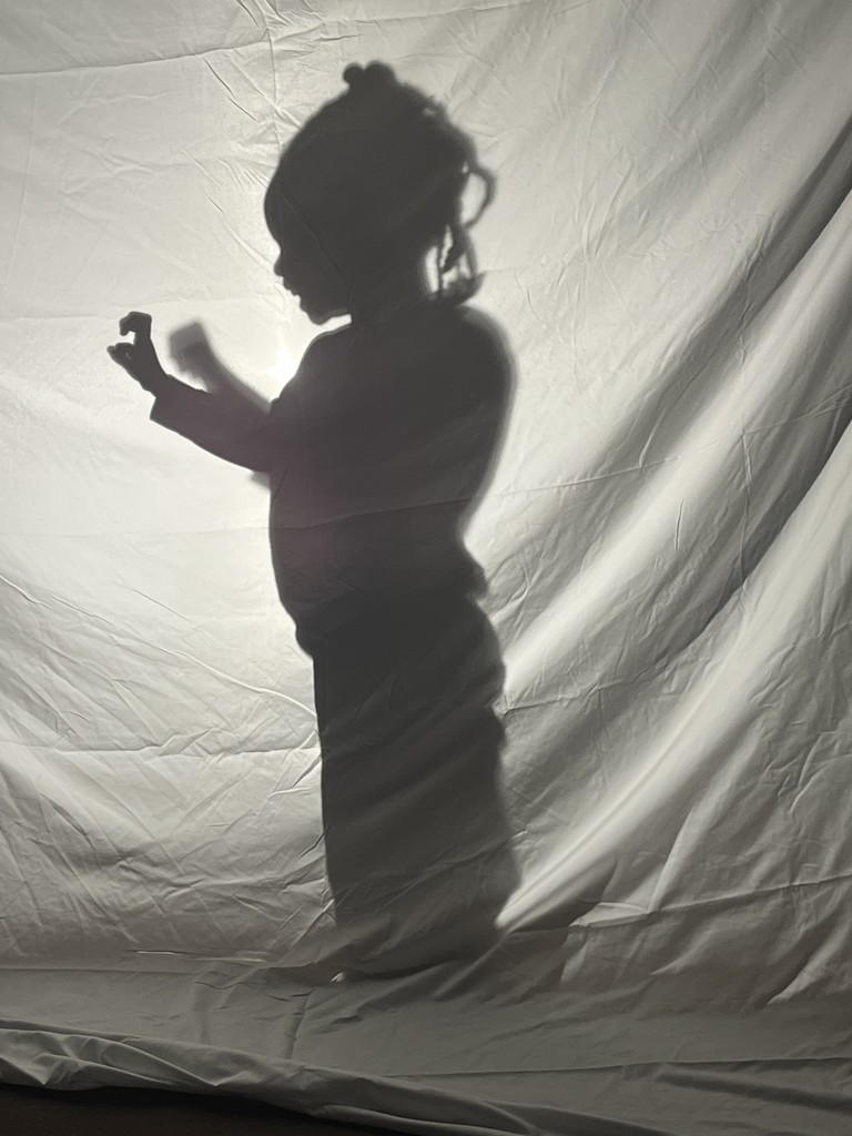 Caroline preschoolers playing guess our shadow