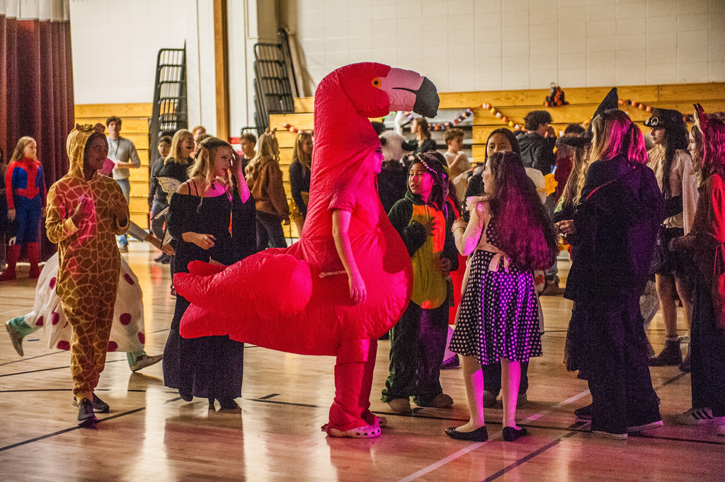 Students dressed in colorful costumes gather in a school gym decorated for a Halloween dance. A student in an inflatable flamingo costume stands prominently in the center, surrounded by others dressed as a giraffe, a fairy, and various characters. The wooden bleachers and dim lighting create a festive atmosphere.