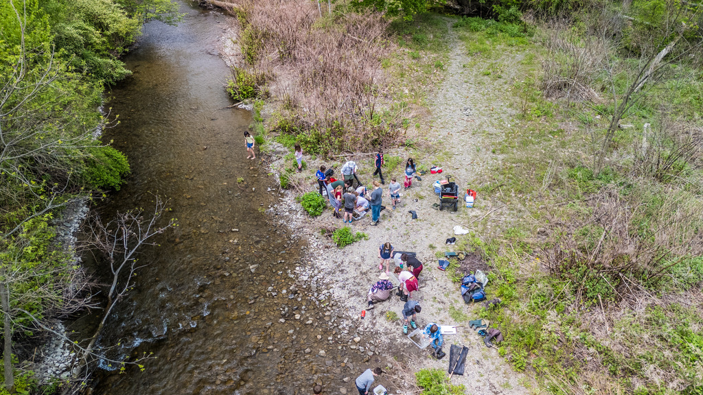 A group of people on a riverbank, some near water, others near a fire pit, with trees and grass.