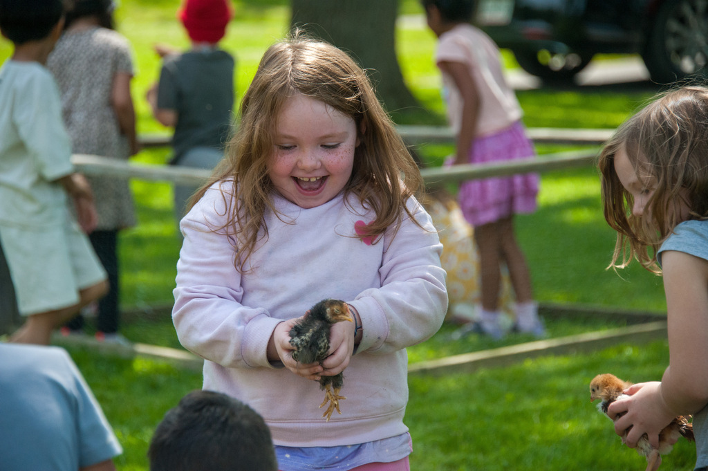 A girl holds a small chicken with people around, some blurred, on a sunny day.