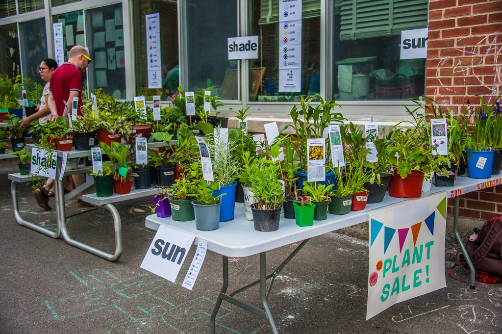 Tables with a variety of potted plants for sale outdoors. A banner says "Plant Sale!" A man walks behind the tables.