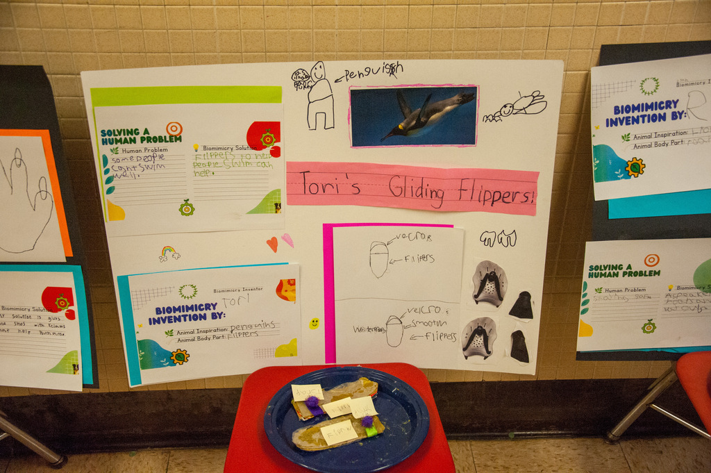 Display of colorful charts with text and drawings about "Tari's Gliding Flippers" on a white board.