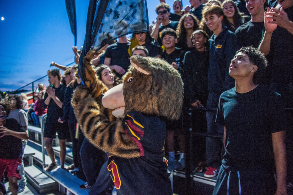 A large crowd of people on a bleacher. A mascot holds a flag in the foreground.
