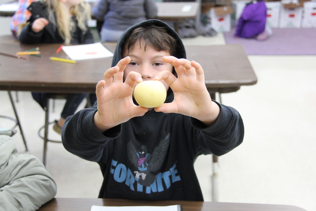 A boy holds a yellow apple with his hands while sitting at a desk, facing a table.