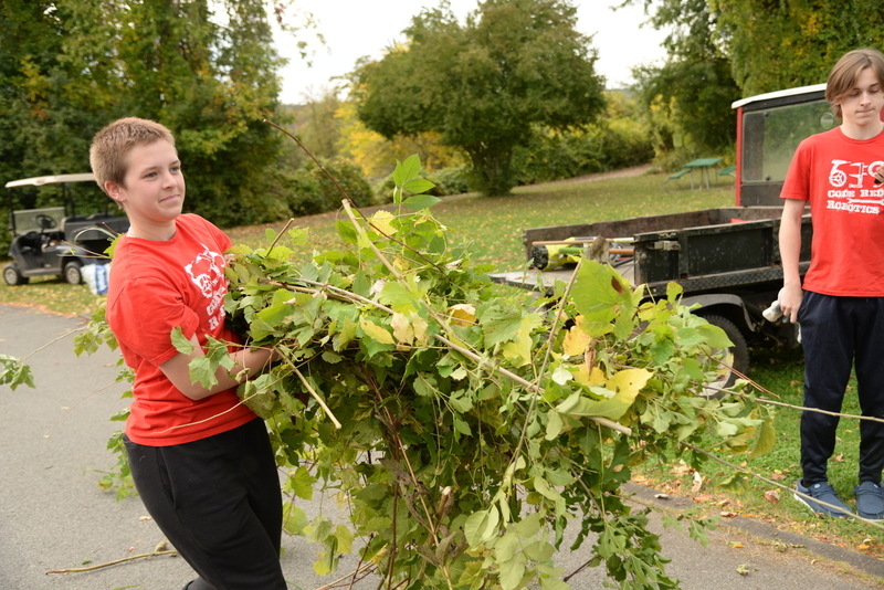 Team  member clearing invasive plants