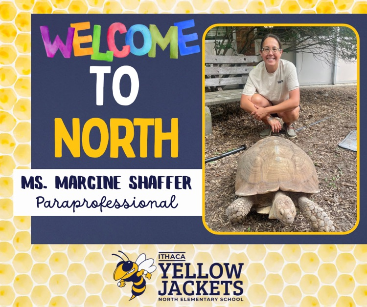 M Shaffer