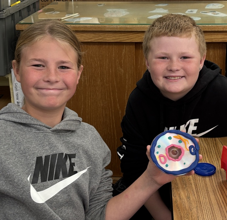 cell model