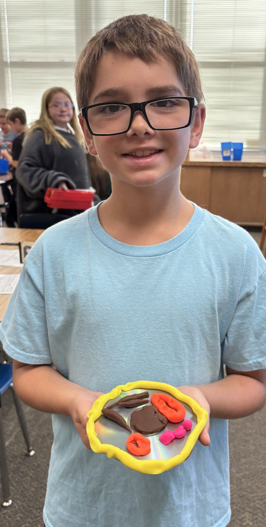 cell model