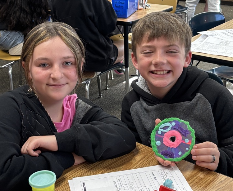 cell model