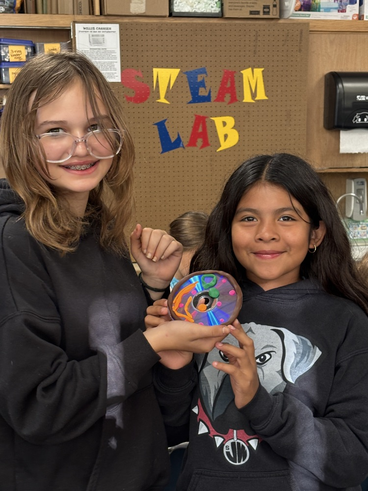 cell model