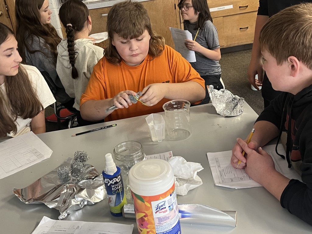 Steel Wool in Vinegar Station