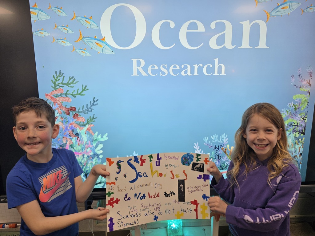 ocean animal research