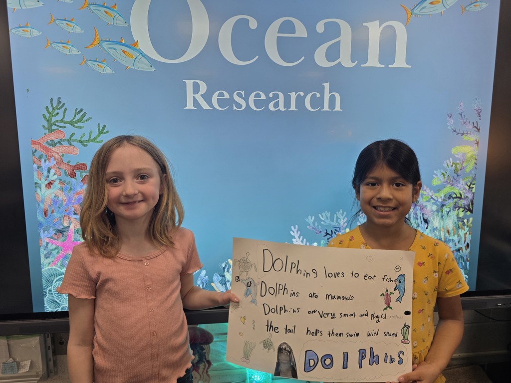 ocean animal research poster