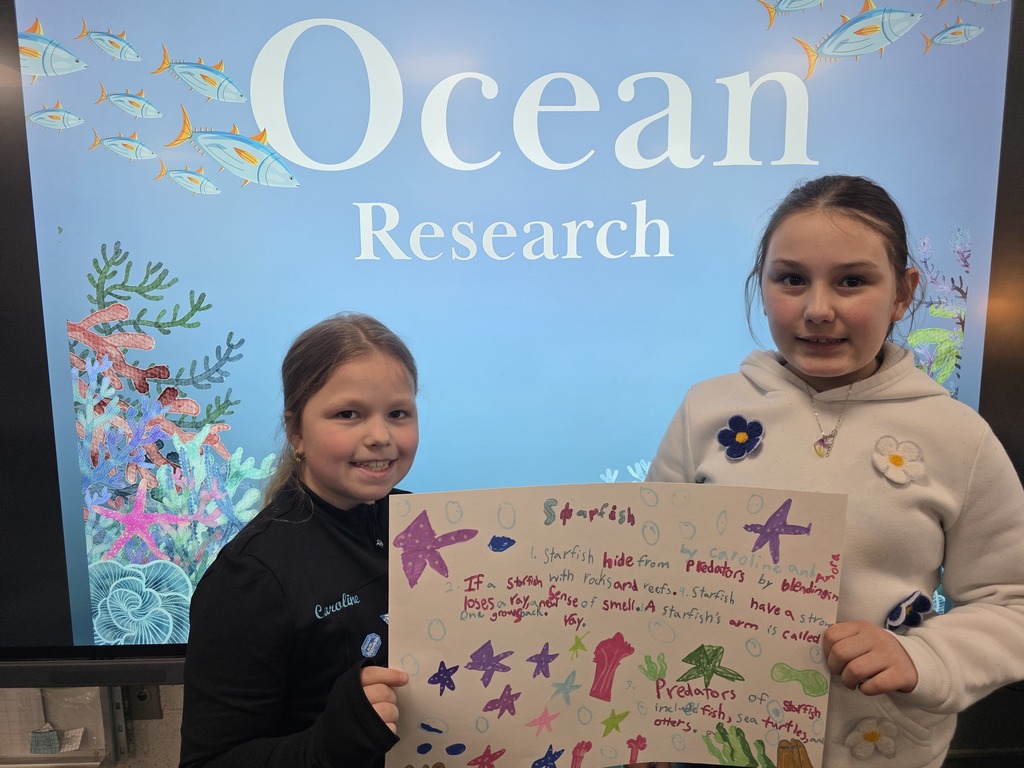 ocean animal research poster