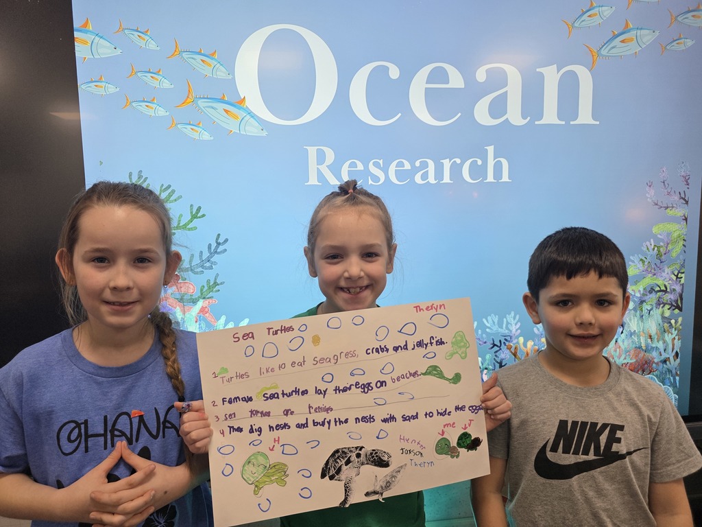ocean animal research poster