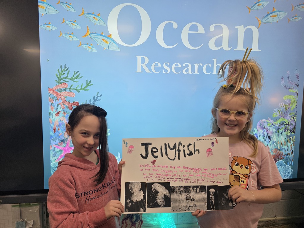 ocean animal research poster