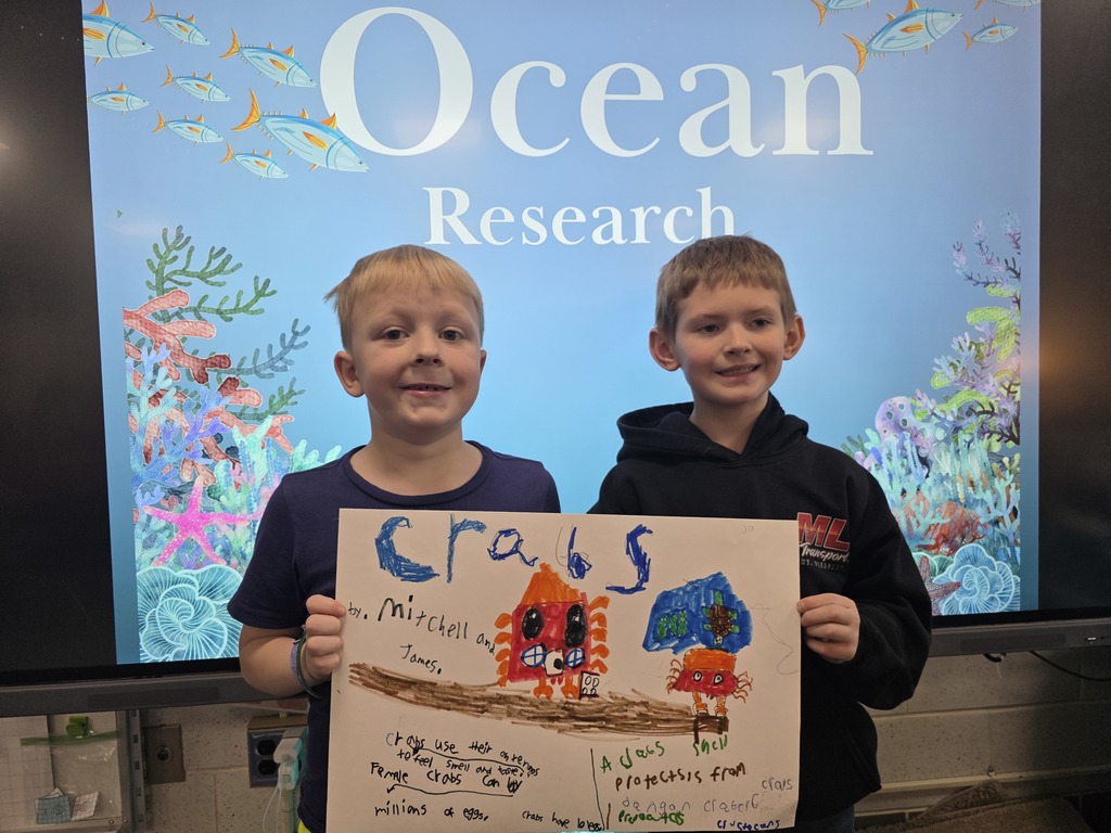 ocean animal research poster